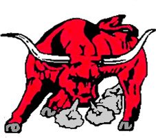 Picture of a red bull logo